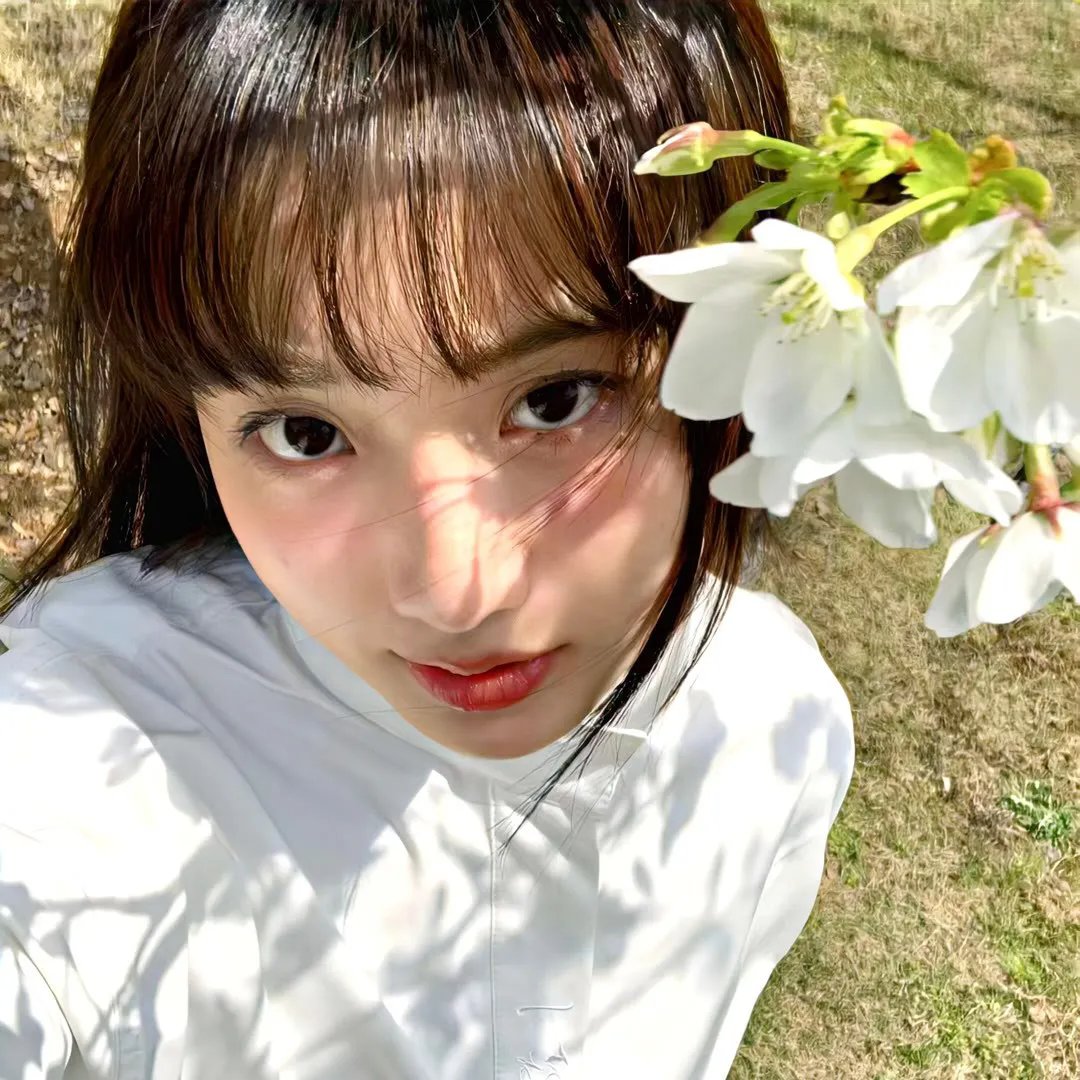 宇宙怪兽加美拉
