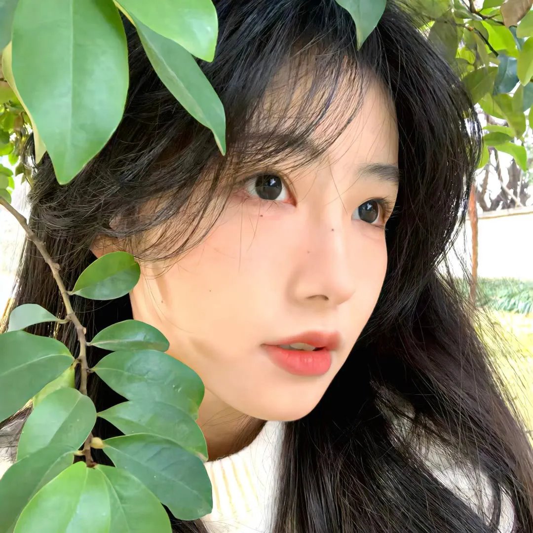 红木林